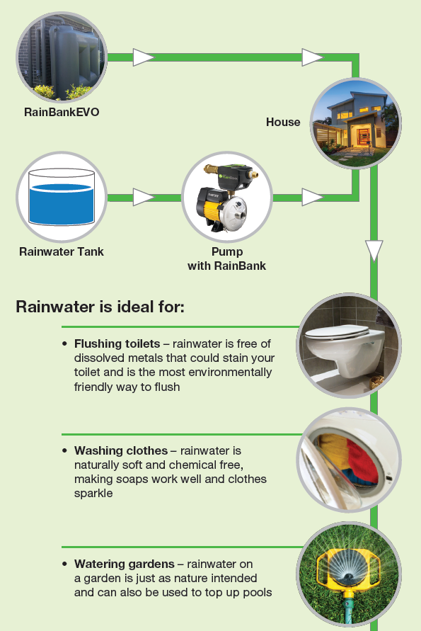 RainBank and RainBankEVO by Davey Clark Tanks Poly Water Tanks